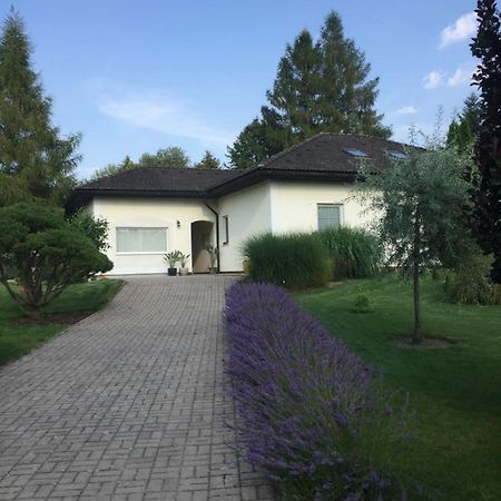 Studiovy Apartman V Zahrade Police nad Metuji Exterior photo