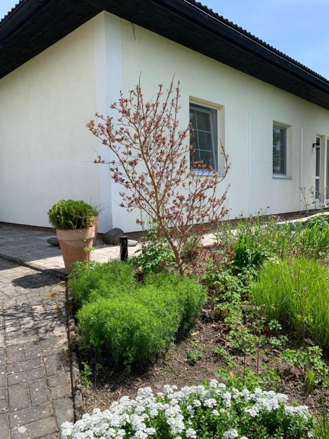Studiovy Apartman V Zahrade Police nad Metuji Exterior photo